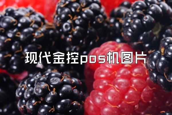 现代金控pos机图片