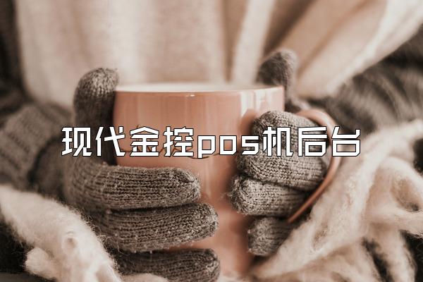 现代金控pos机后台