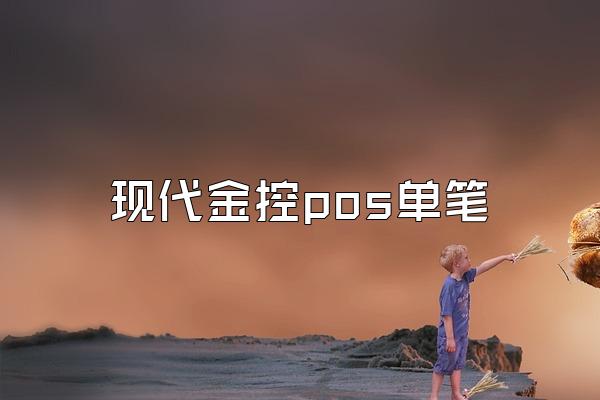 现代金控pos单笔