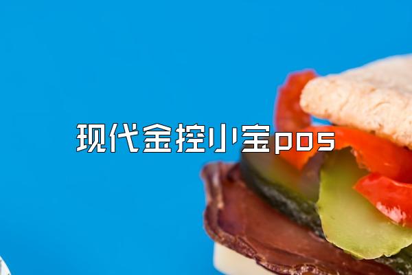 现代金控小宝pos