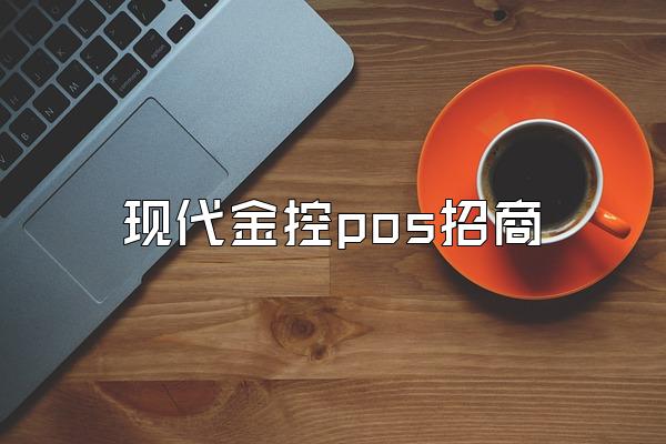 现代金控pos招商