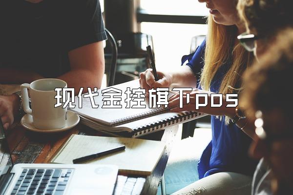 现代金控旗下pos