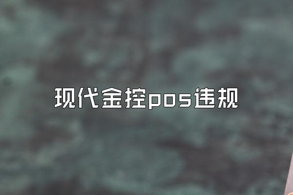 现代金控pos违规