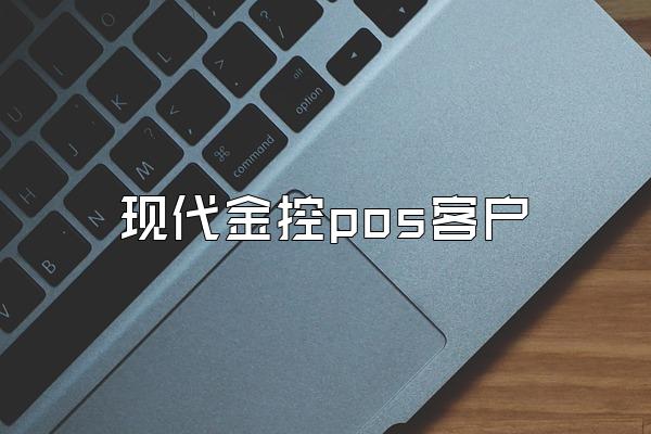 现代金控pos客户